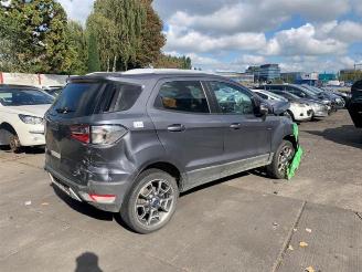 Ford EcoSport EcoSport (JK8), SUV, 2013 1.0 EcoBoost 12V 125 picture 2