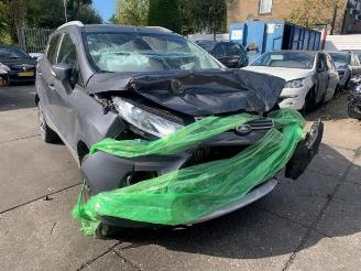 Ford EcoSport EcoSport (JK8), SUV, 2013 1.0 EcoBoost 12V 125 picture 5