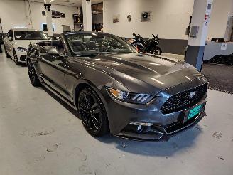 Ford Mustang  picture 3