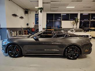 Ford Mustang  picture 8