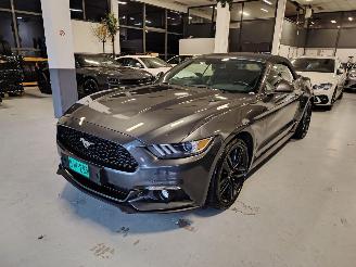 Ford Mustang  picture 7