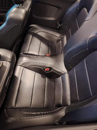 Ford Mustang  picture 15