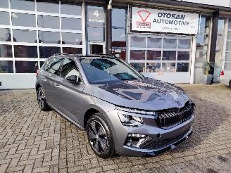 Damaged car Skoda Kamiq Monte Carlo DSG Pano Matrix Camera Vol 2024/11