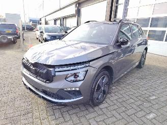 Skoda Kamiq Monte Carlo DSG Pano Matrix Camera Vol picture 3