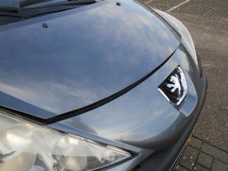Peugeot 207 1.6 VTI picture 8