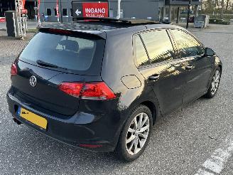 Volkswagen  1.4TSI Panorama picture 3