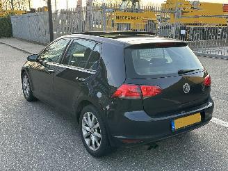 Volkswagen  1.4TSI Panorama picture 2