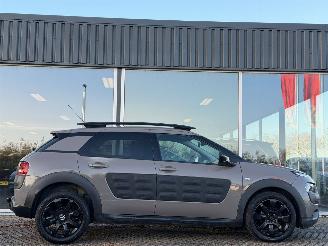 Citroën C4 cactus 1.2 PureTech NAP picture 3