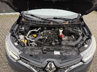 Renault Kadjar 1.2 TCe Intens Bose NAP picture 12