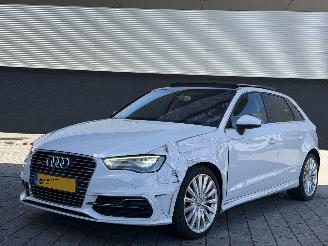 Vaurioauto  passenger cars Audi A3 1.4 E-tron S-LINE PANO/AUTOMAAT 2014/11