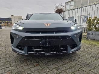 Cupra Formentor VZ 245 kW picture 13
