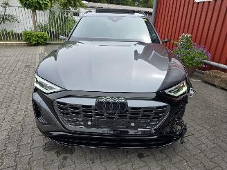 Audi Q8 E-TRON 114 kW aH picture 13