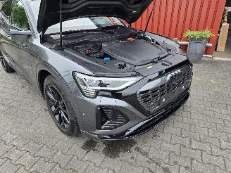 Audi Q8 E-TRON 114 kW aH picture 14
