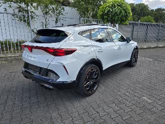 skadebil auto Cupra Formentor VZ 245 kW PANORAMA 2025/11