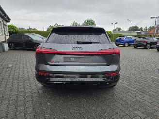Audi SQ8  picture 16