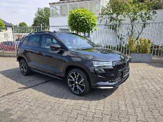  Skoda Karoq  2024/2