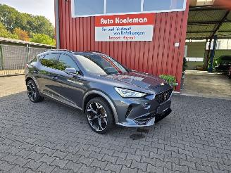 Auto incidentate Cupra Formentor Hybride 2025/1