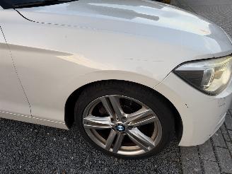 BMW 1-serie 116i Pano picture 20