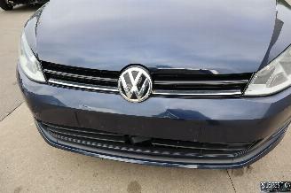 Volkswagen Golf 1.6 TDI picture 7