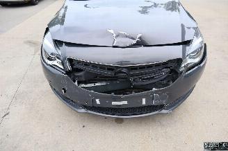 Opel Insignia 2.0 CDTI picture 7