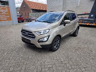 Schadeauto Ford EcoSport 1000 TURBO 125 PK  69650 KM  FRISSE AUTO 2019/9