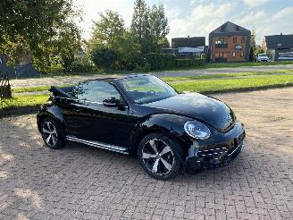Volkswagen Beetle Cabriolet picture 8
