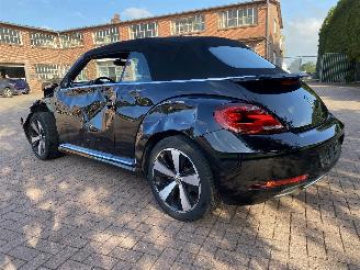 Volkswagen Beetle Cabriolet picture 5