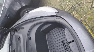 Tesla Model 3 60 kwh   238pk pano picture 11