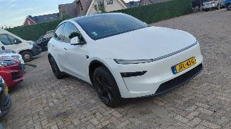 skadebil auto Tesla Model Y 256pk  pano 2025/9