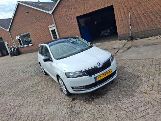 Avarii autoturisme Skoda Rapid 1.0 tsi  70kw  pano   clima 2018/7