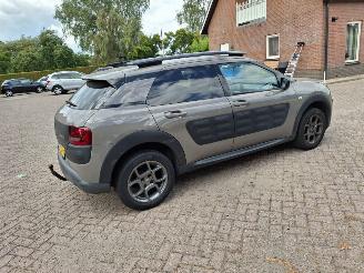 Citroën C4 cactus 1.2 82pk shine clima  navi picture 4