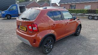 Suzuki Ignis 1.2 hybrid  83pk navi clima lmv picture 6
