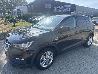 ocasión turismos Opel Grandland 1.2 TURBO GRANDLAND X EXECUTIVE BOUWJAAR 2018  8250 EURO 2018/5