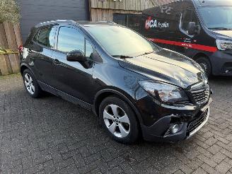 Opel Mokka 1.4 TUBRO NL AUTO NAP picture 13