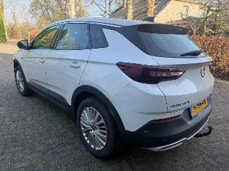  Opel Grandland X 1.2 TURBO 120 JAAR 2019/4