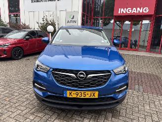 skadebil auto Opel Grandland X 1.2 Turbo Business Edition 2021/1