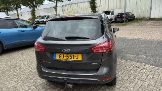 Ford B-Max 1.0 ECOB. TITANIUM picture 5