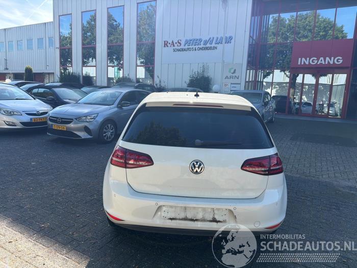 Volkswagen Golf Golf VII (AUA), Hatchback, 2012 / 2021 e-Golf