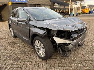 Skoda Elroq 210 Kw Batterij 85 Kw/h picture 6