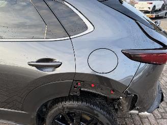 Mazda CX-30 2.5 MHEV 104 Kw Automaat Homura picture 19