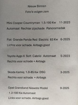 Auto incidentate Mini Countryman  2023/11