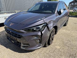 Damaged car Cupra Terramar 1.5 eTSi 110 Kw Automaat 2025/1