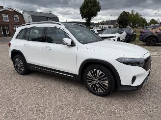 uszkodzony samochody osobowe Mercedes EQB 250+ Elektro 140 Kw 2026/3