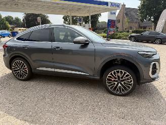 Voiture accidenté Audi SQ5 3.0 - 270 Kw Sportback   Nieuwste model 2026/1