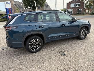 Volkswagen Tayron 1.5 eTSi 150 Pk DSG 7 persoons picture 21