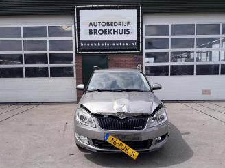 Skoda Fabia Fabia II Combi, Combi 5-drs, 2007 / 2015 1.2 TDI 12V Greenline picture 1