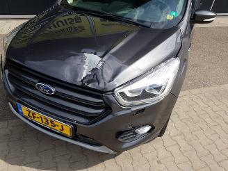 Ford Kuga 2.0 TDCi ST-Line picture 9