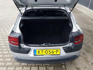 Citroën C4 cactus 1.2 PureTech Shine picture 22