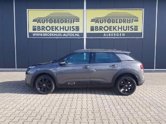 Citroën C4 cactus 1.2 PureTech Origins picture 2
