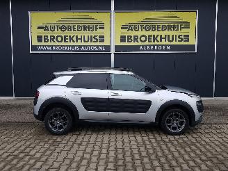 Citroën C4 cactus 1.2 PureTech Shine picture 4